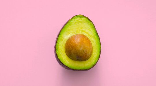 avocado trend