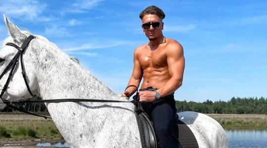 Harrie Snijders