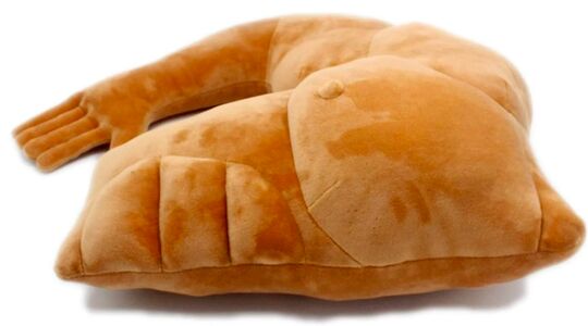 boyfriend pillow