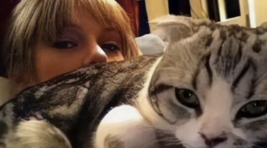 kat van Taylor Swift