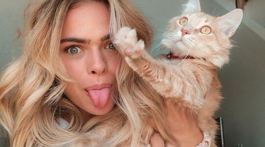 kat app