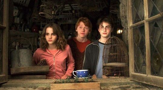Harry Potter