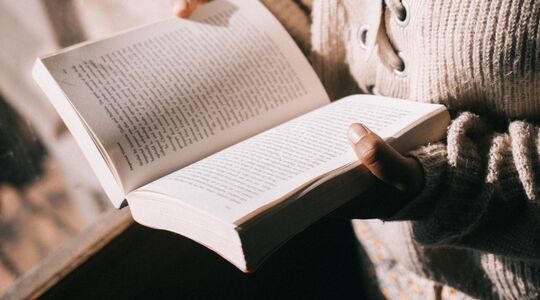 lezen boek de zeven zussen reeks laatste deel