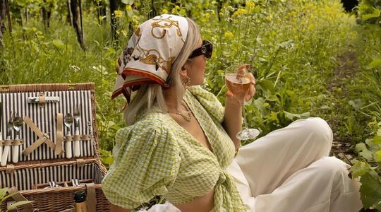 Picknicken tussen wijngaarden Amstelveen Nederland