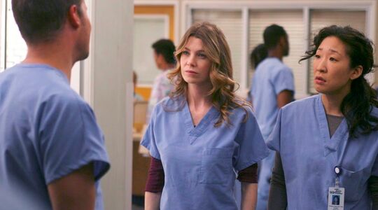 grey's anatomy series net als lookalikes