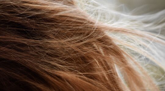 rozemarijn olie haar