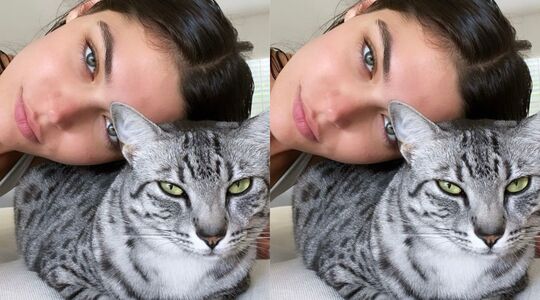 kattennaam