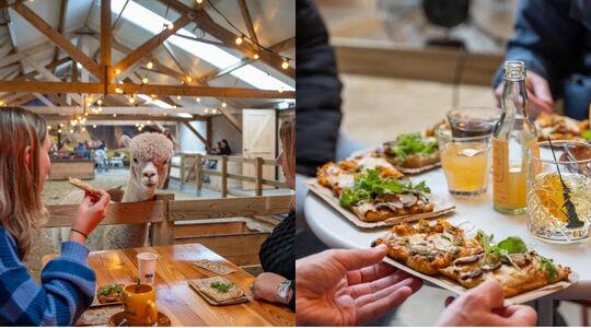 pizza-proeverij-alpacas