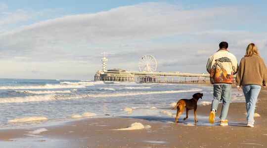 strandhotel overnachting aan het strand