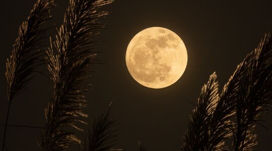 volle-maan-oktober-2023