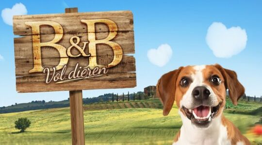 rien-welsink-de-bachelor-1