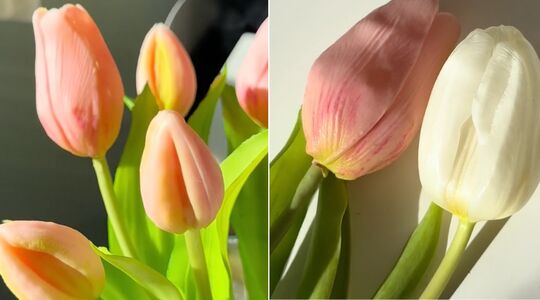 verse-bloemen-2