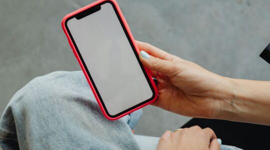 privacy inbreuk temu