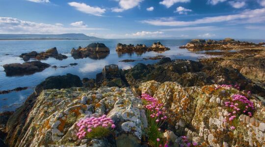 ierland