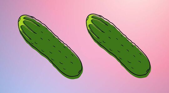 easytoys en kesbeke vibrator