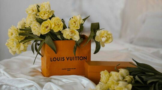 Louis Vuitton dolfijntas