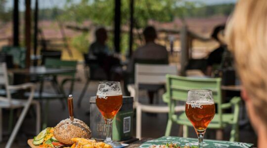 Boscaf&eacute;s in Nederland met een hapje en een drankje op tafel.