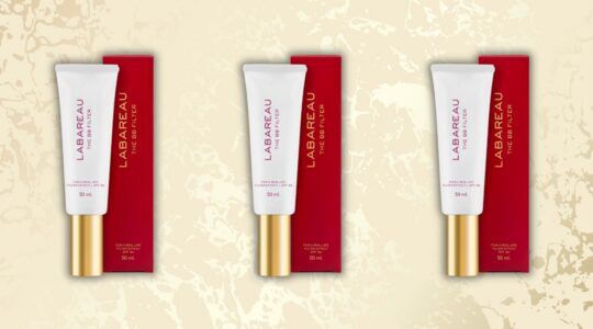 The BB Filter van LABAREAU.