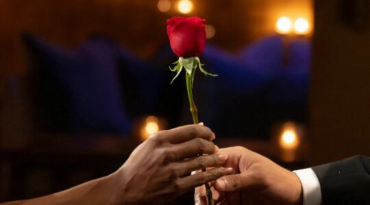 Een roos overhandigen.