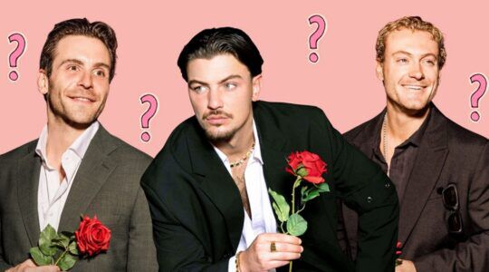 Jamie, Bas S en Bas B uit De Bachelorette.