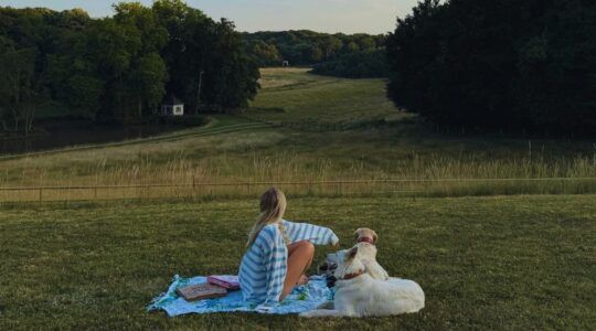 Picknicken.