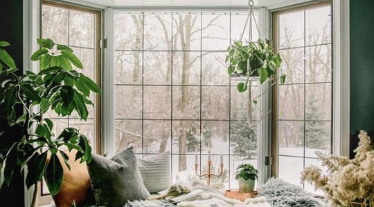 Illustratie voor: 5 x creatieve ideeën voor een interieur vol met planten