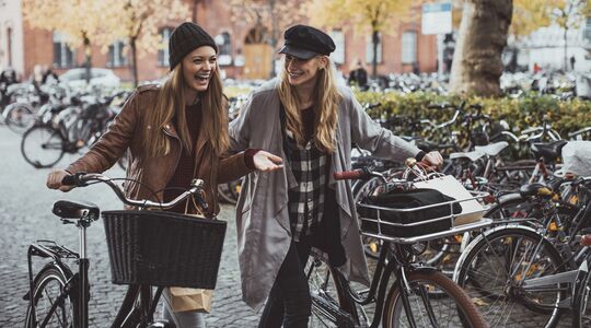 fiets-gestolen-femfem