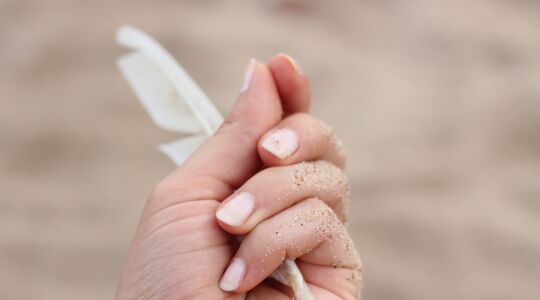 Nagels