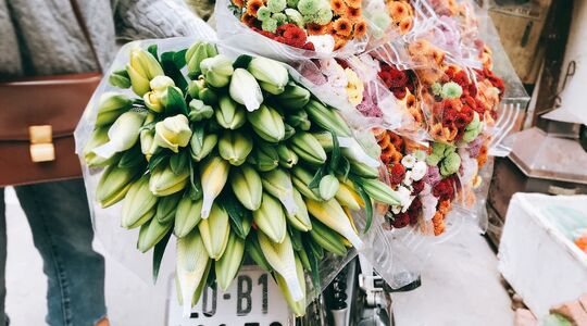 verse-bloemen-whoppah-brenger