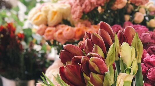 bloemenover-bloemen-kopen