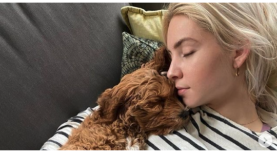 Science says: jouw hond is dus helemaal niet zo speciaal