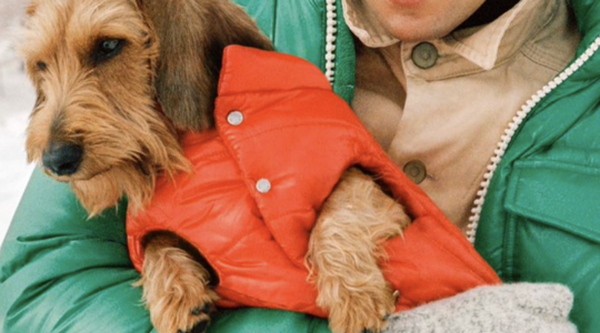 puffer jack voor je hond