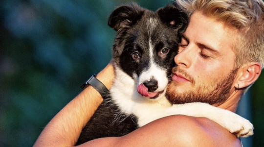 Knappe mannen met honden