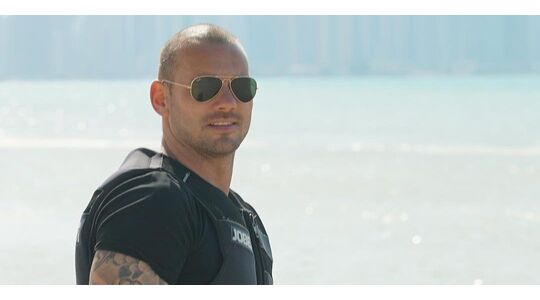 wesley sneijder