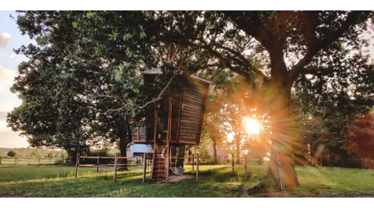 In Nederland kun je overnachten in deze Airbnb-boomhut
