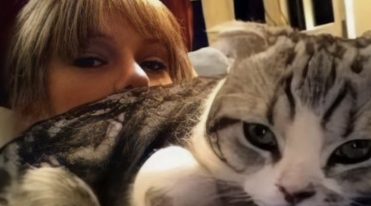 kat van Taylor Swift