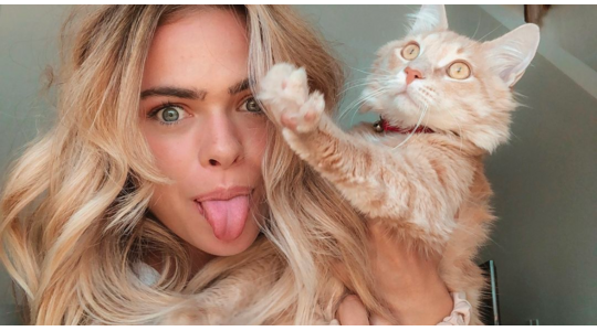 kat app