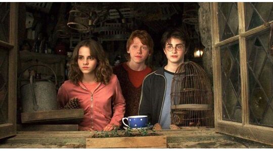 Harry Potter