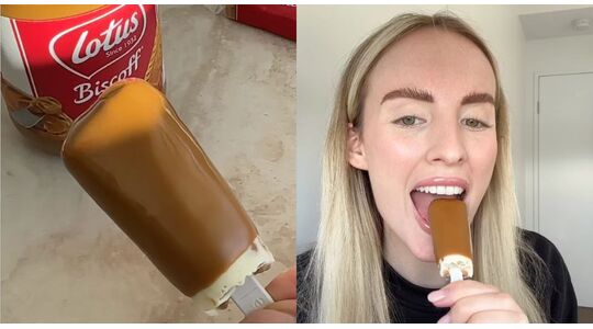 lotus biscoff ijsjes