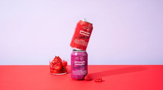 gekneusde kombucha