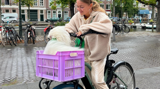 beste elektrische fiets 2023