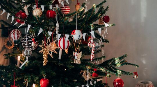 kerstboom