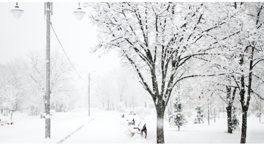 krijgen-we-een-witte-kerst-2023-winter
