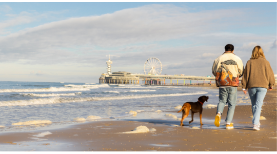 strandhotel overnachting aan het strand