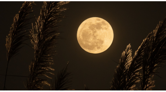 volle-maan-oktober-2023