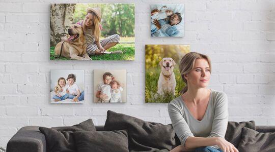 beste canvas