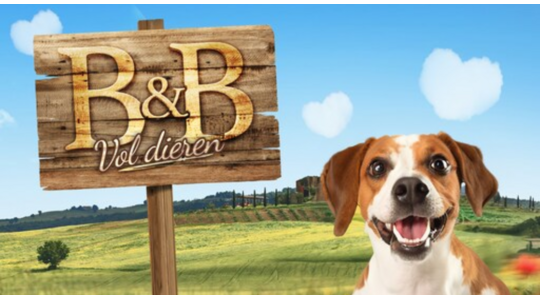 rien-welsink-de-bachelor-1
