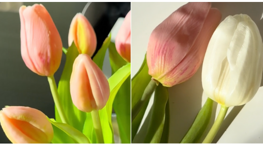 verse-bloemen-2