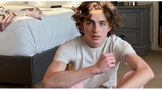 timothee chalamet
