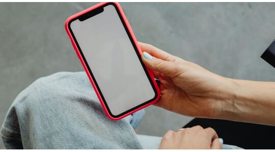 privacy inbreuk temu